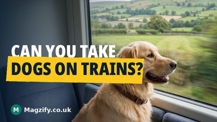 can you take dogs on trains