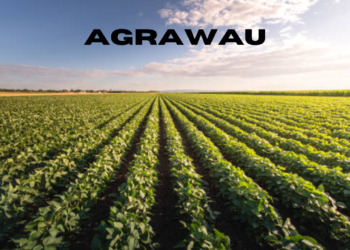 agrawau