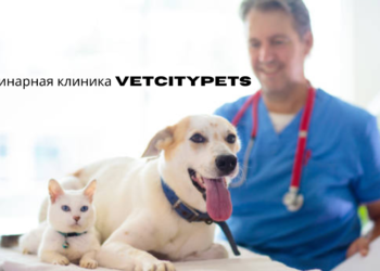ветеринарная клиника vetcitypets