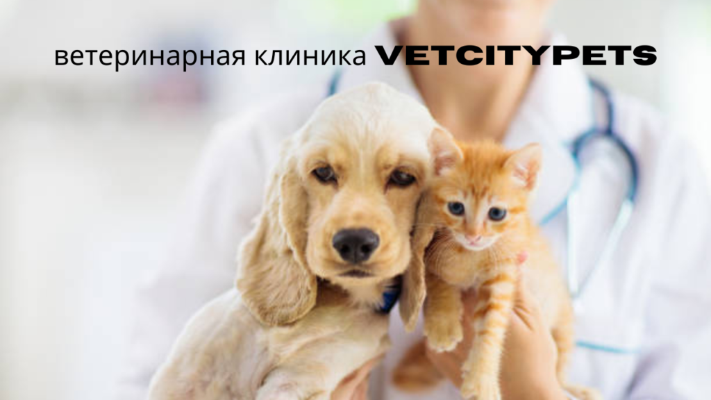 ветеринарная клиника vetcitypets