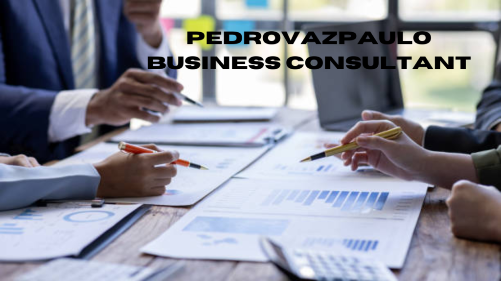 pedrovazpaulo business consultant