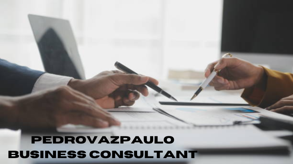 pedrovazpaulo business consultant