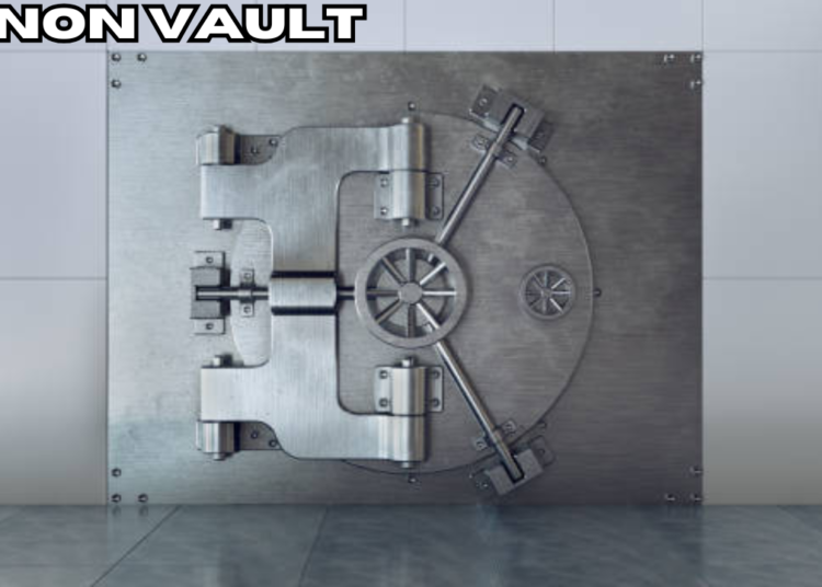 anon vault