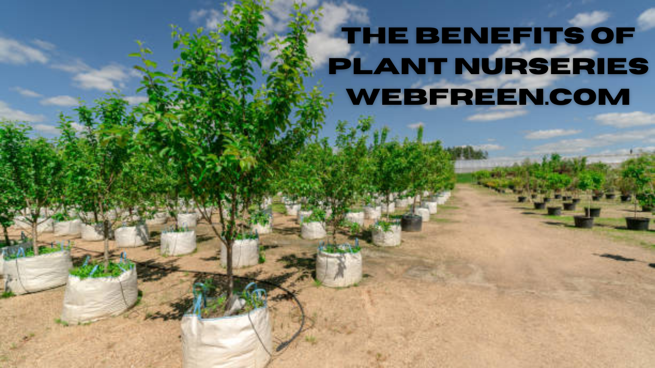 The benefits of plant nurseries webfreen.com