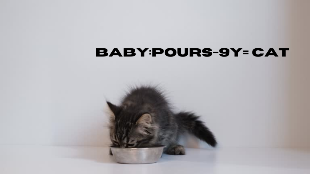 baby:pours-9y= cat